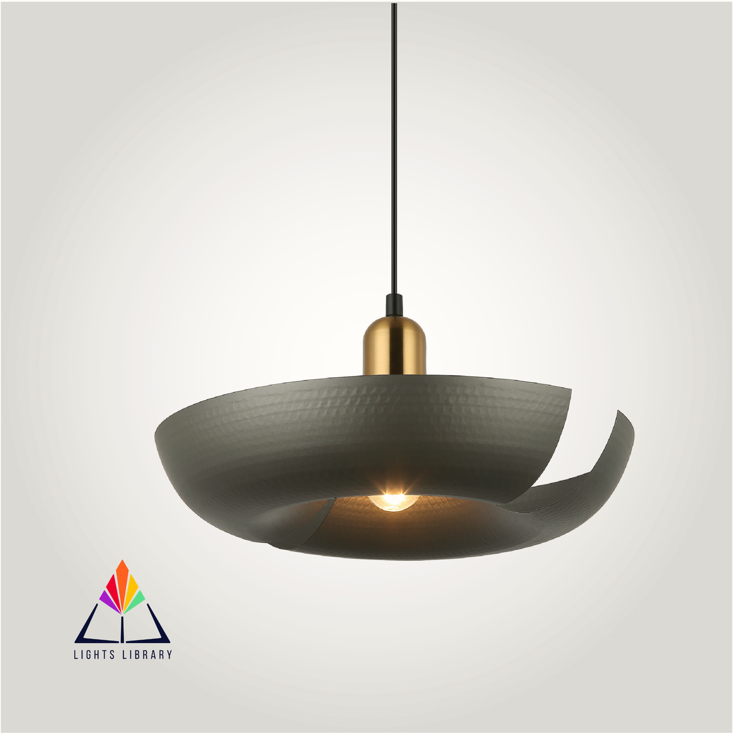 Riviera’s Radiant Ring Hanging Light