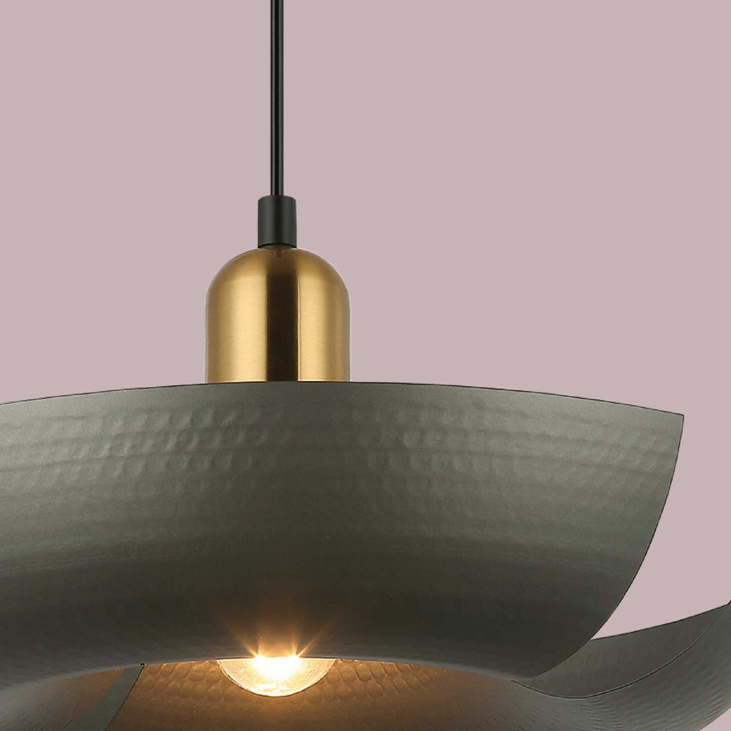 Riviera’s Radiant Ring Hanging Light