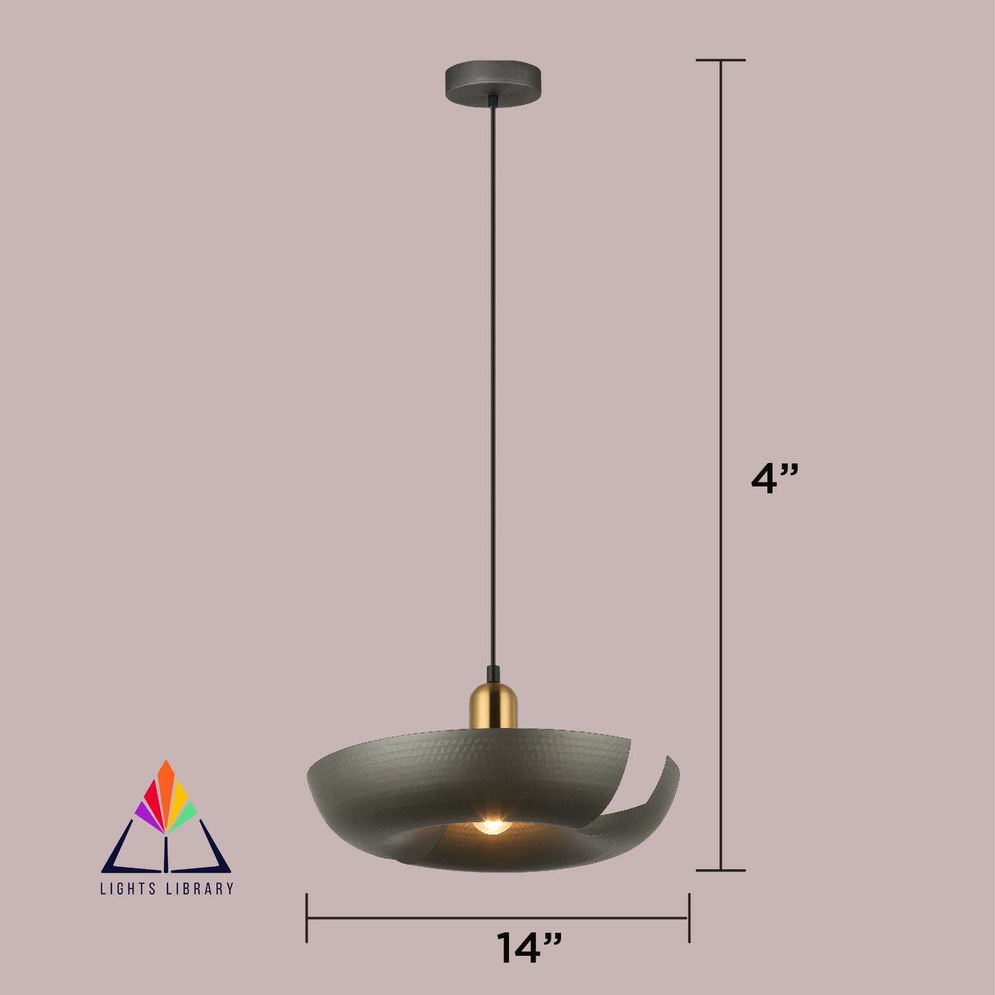 Riviera’s Radiant Ring Hanging Light